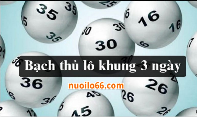 nuôi lô bạch thủ khung 3 ngày