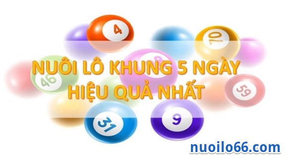 nuôi lô bạch thủ khung 5 ngày