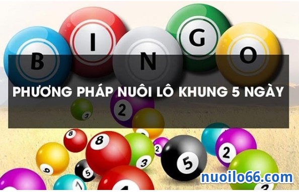 cách nuôi lô bạch thủ khung 5 ngày